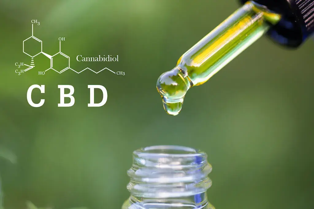 Cannabis plant used on TheRealDrLaura CBD page